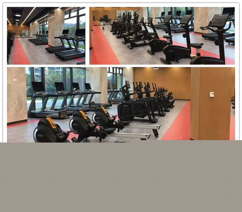室内健身器材-单位健身房器材